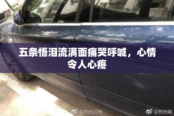 五条悟泪流满面痛哭呼喊，心情令人心疼
