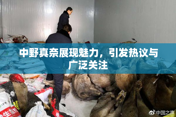 中野真奈展现魅力，引发热议与广泛关注