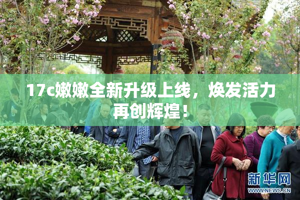 17c嫩嫩全新升级上线，焕发活力再创辉煌！