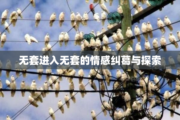 无套进入无套的情感纠葛与探索