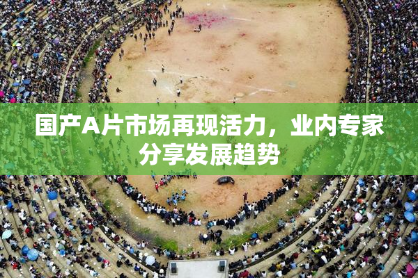 国产A片市场再现活力，业内专家分享发展趋势