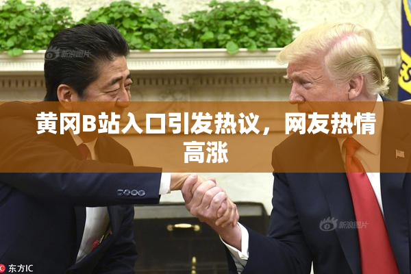 黄冈B站入口引发热议，网友热情高涨