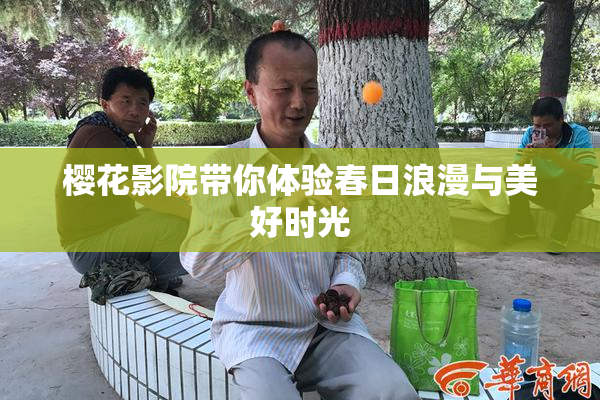 樱花影院带你体验春日浪漫与美好时光