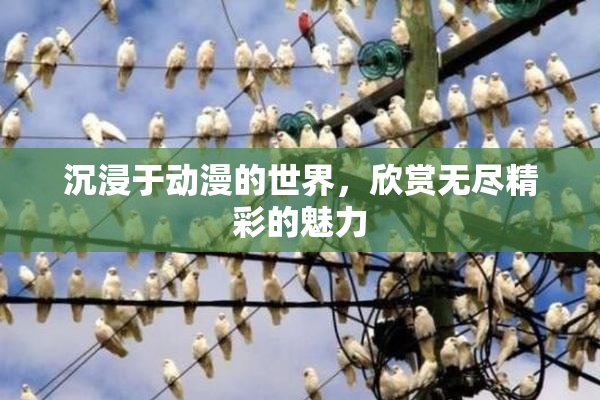 沉浸于动漫的世界，欣赏无尽精彩的魅力