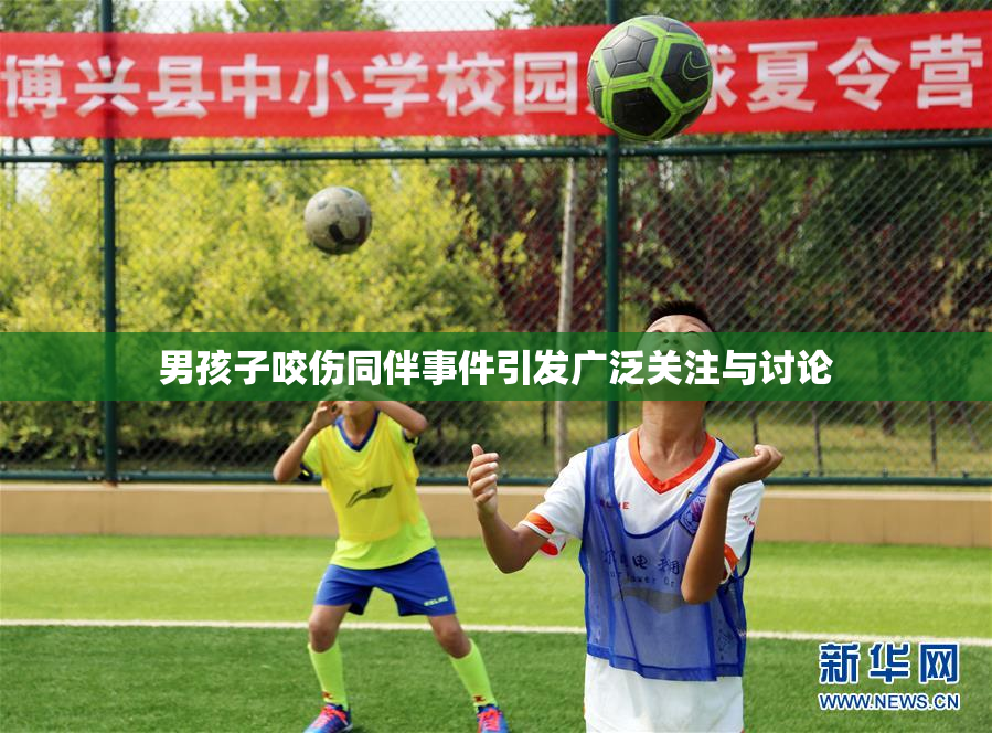 男孩子咬伤同伴事件引发广泛关注与讨论