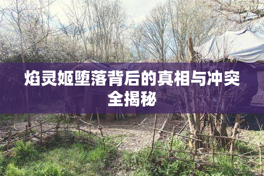 焰灵姬堕落背后的真相与冲突全揭秘