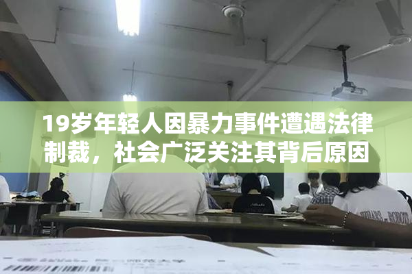 19岁年轻人因暴力事件遭遇法律制裁，社会广泛关注其背后原因