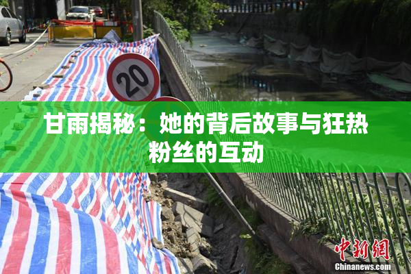 甘雨揭秘：她的背后故事与狂热粉丝的互动