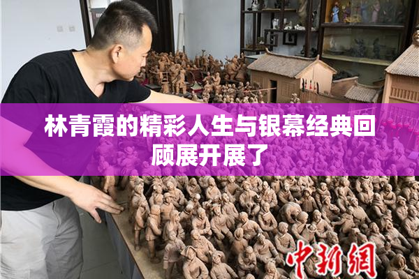 林青霞的精彩人生与银幕经典回顾展开展了
