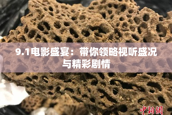 9.1电影盛宴：带你领略视听盛况与精彩剧情