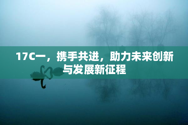 17C一，携手共进，助力未来创新与发展新征程