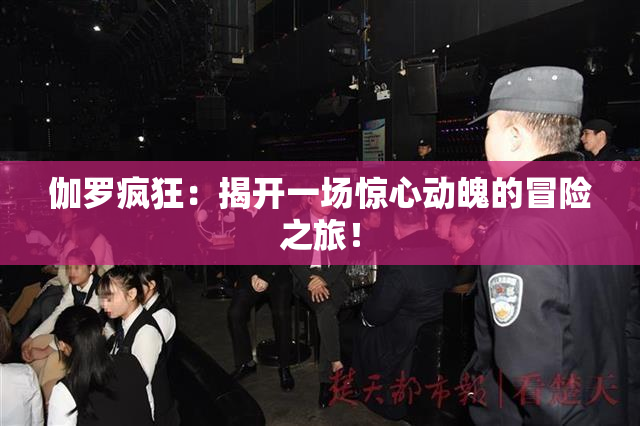 伽罗疯狂：揭开一场惊心动魄的冒险之旅！