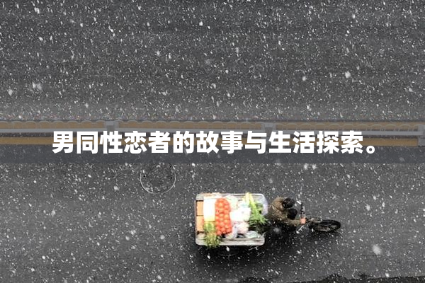男同性恋者的故事与生活探索。