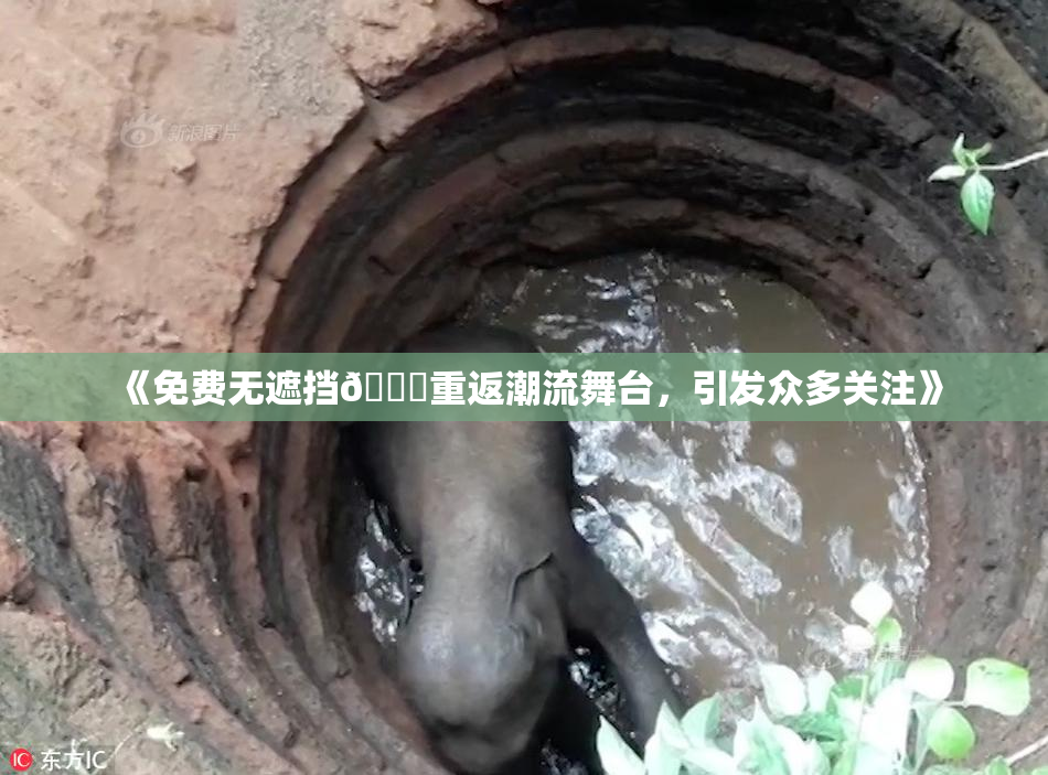 《免费无遮挡🔞重返潮流舞台，引发众多关注》