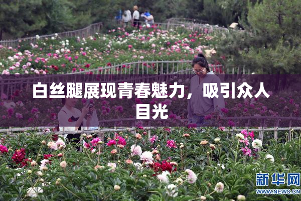 白丝腿展现青春魅力，吸引众人目光