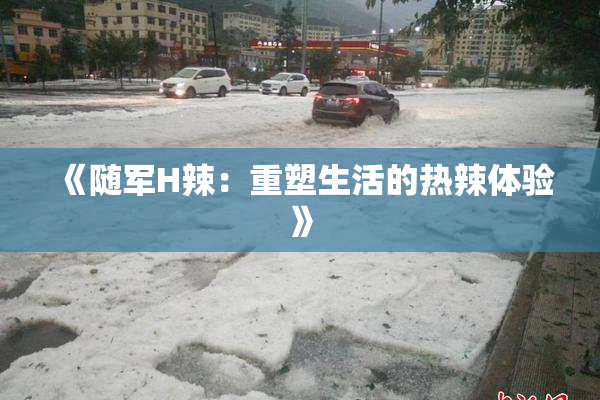 《随军H辣：重塑生活的热辣体验》