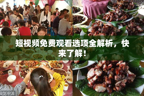 短视频免费观看选项全解析，快来了解！