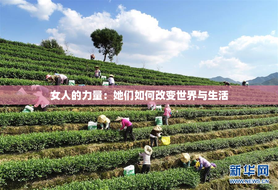 女人的力量：她们如何改变世界与生活