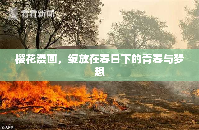 樱花漫画，绽放在春日下的青春与梦想
