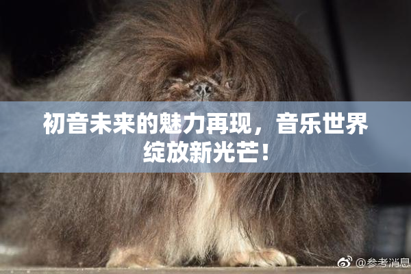 初音未来的魅力再现，音乐世界绽放新光芒！