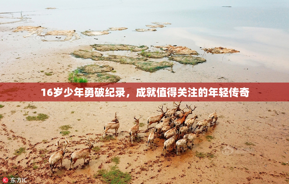 16岁少年勇破纪录，成就值得关注的年轻传奇