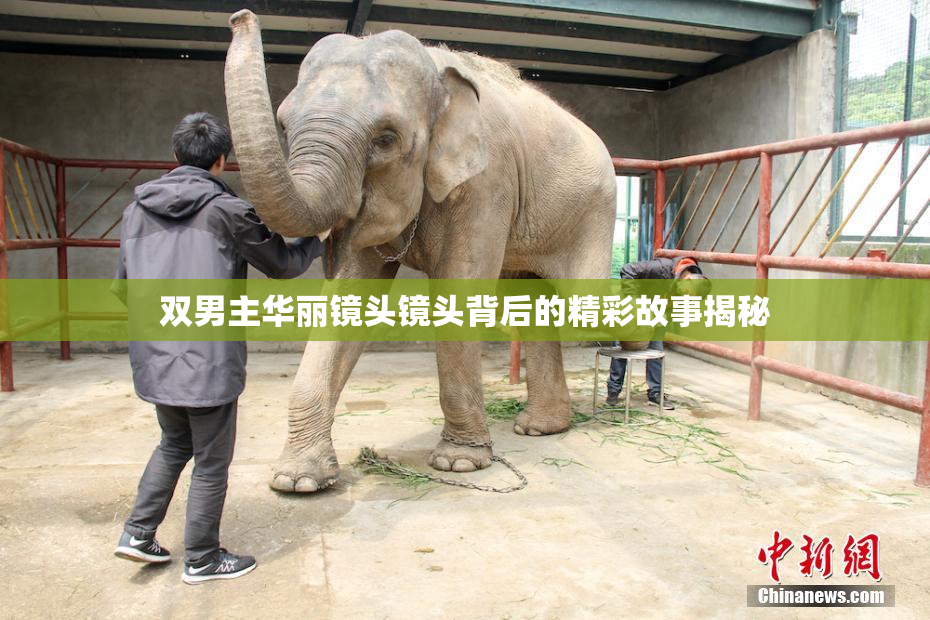 双男主华丽镜头镜头背后的精彩故事揭秘