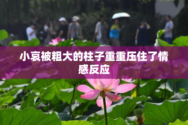 小哀被粗大的柱子重重压住了情感反应