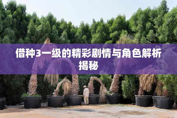 借种3一级的精彩剧情与角色解析揭秘