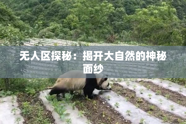 无人区探秘：揭开大自然的神秘面纱