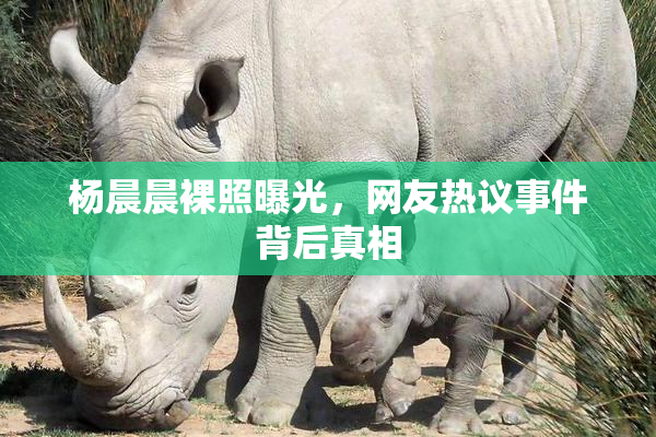 杨晨晨裸照曝光，网友热议事件背后真相