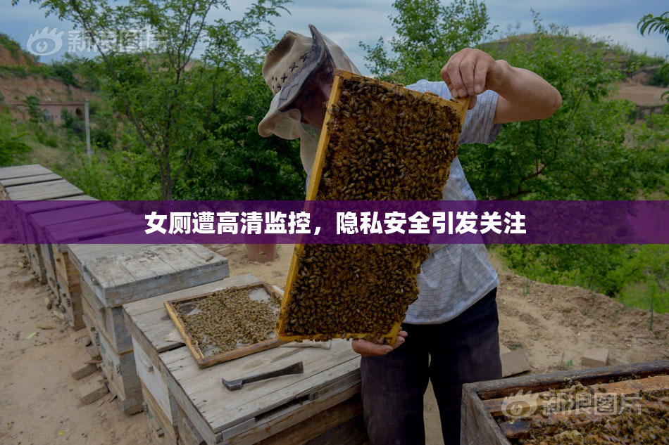 女厕遭高清监控，隐私安全引发关注