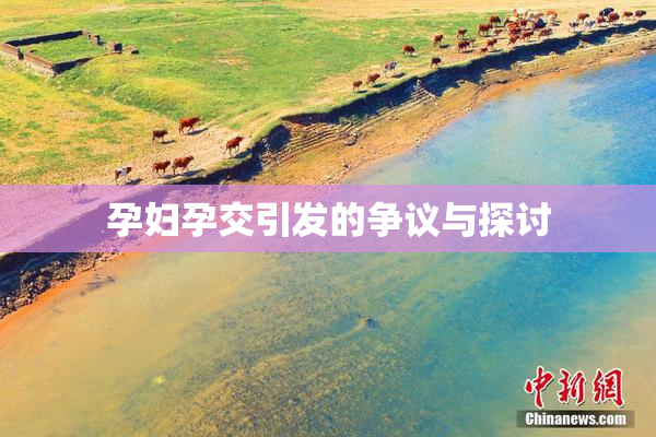 孕妇孕交引发的争议与探讨