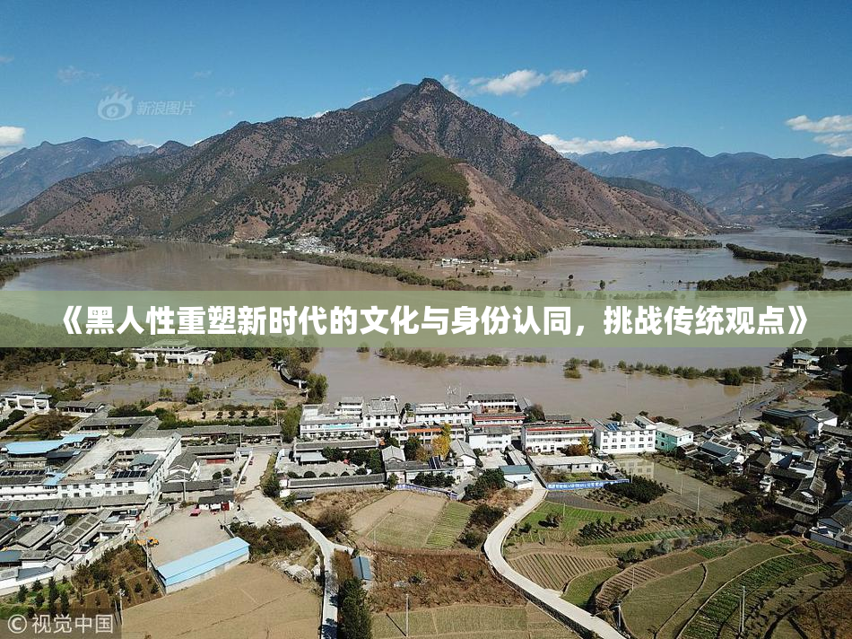 《黑人性重塑新时代的文化与身份认同，挑战传统观点》
