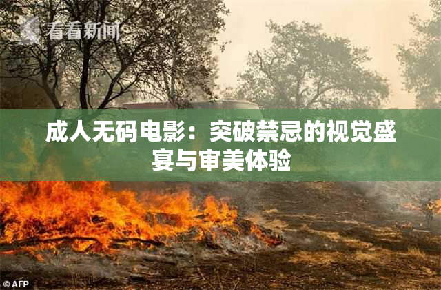 成人无码电影：突破禁忌的视觉盛宴与审美体验
