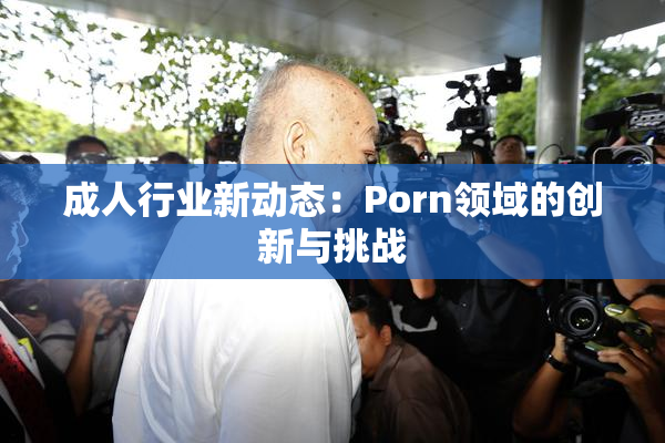 成人行业新动态：Porn领域的创新与挑战