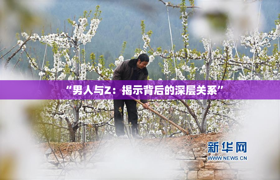“男人与Z：揭示背后的深层关系”