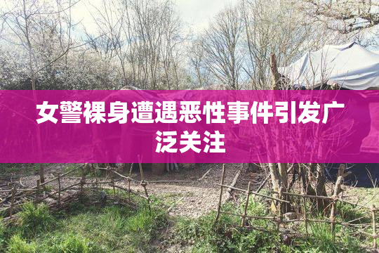 女警裸身遭遇恶性事件引发广泛关注