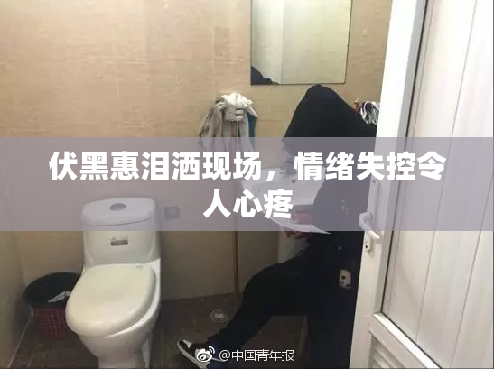 伏黑惠泪洒现场，情绪失控令人心疼