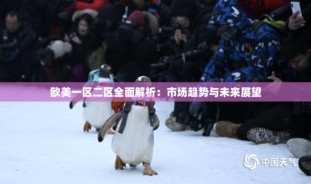 欧美一区二区全面解析：市场趋势与未来展望