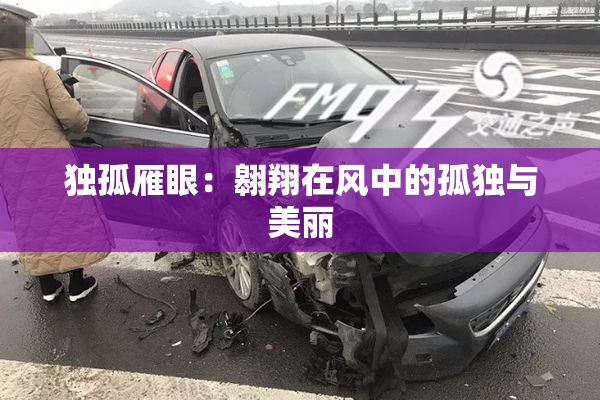独孤雁眼：翱翔在风中的孤独与美丽