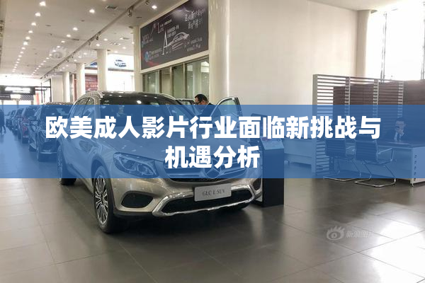 欧美成人影片行业面临新挑战与机遇分析