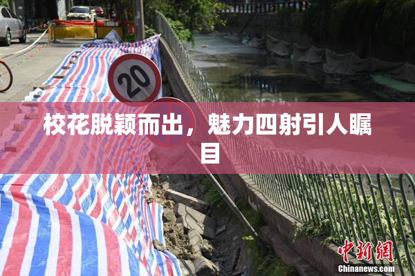 校花脱颖而出，魅力四射引人瞩目