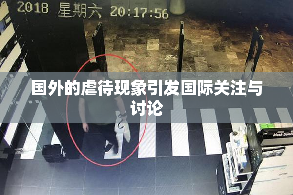 国外的虐待现象引发国际关注与讨论