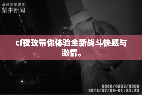cf夜玫带你体验全新战斗快感与激情。