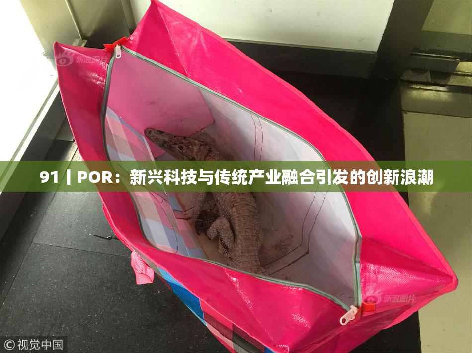91丨POR：新兴科技与传统产业融合引发的创新浪潮