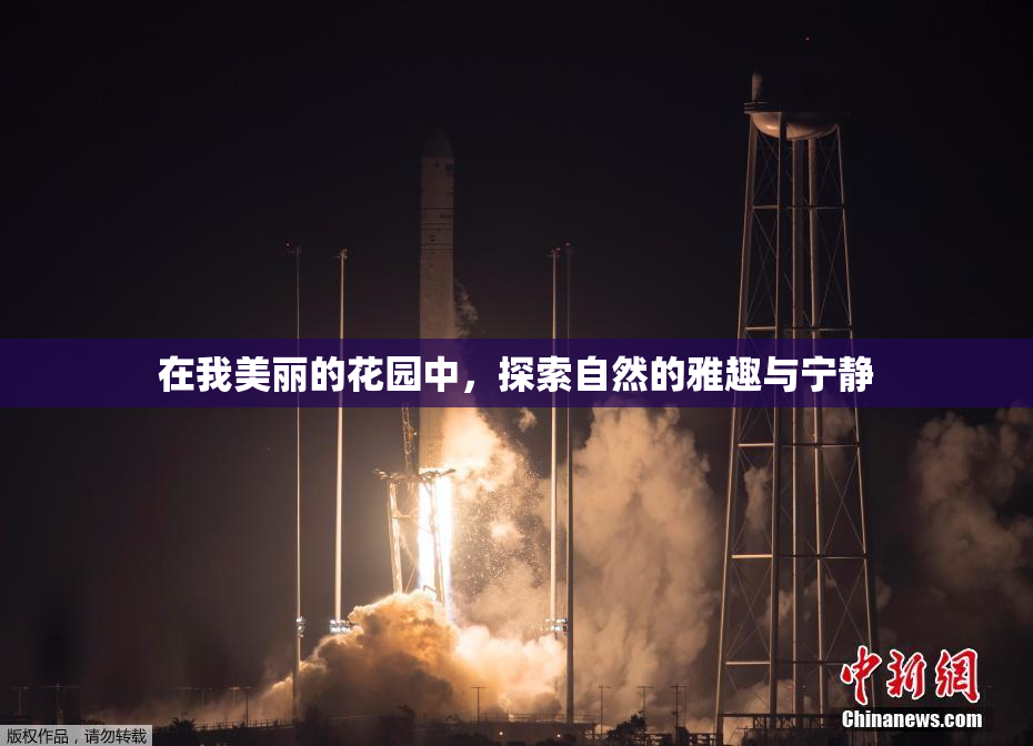 在我美丽的花园中，探索自然的雅趣与宁静
