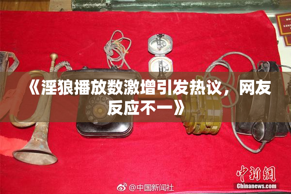 《淫狼播放数激增引发热议，网友反应不一》