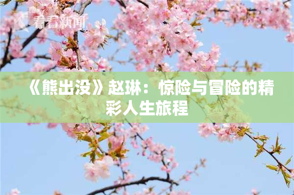 《熊出没》赵琳：惊险与冒险的精彩人生旅程