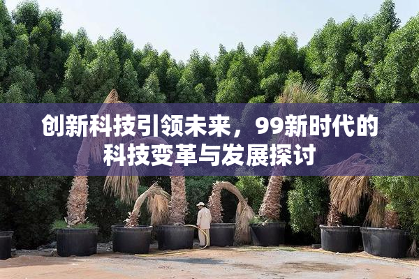 创新科技引领未来，99新时代的科技变革与发展探讨