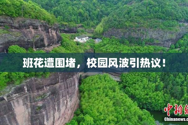 班花遭围堵，校园风波引热议！